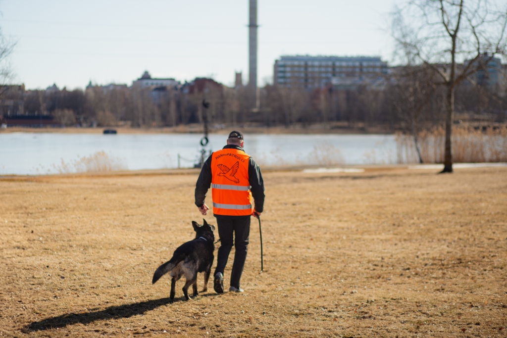 Henkilö kävelee saksanpaimenkoiran kanssa puistossa, yllään oranssi huomioliivi.